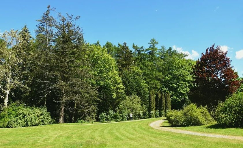 Nadleśnictwo Kaliska - Arboretum Wirty, Poland